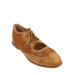 Cainwen_2_Camel_Robelli_9to9.png